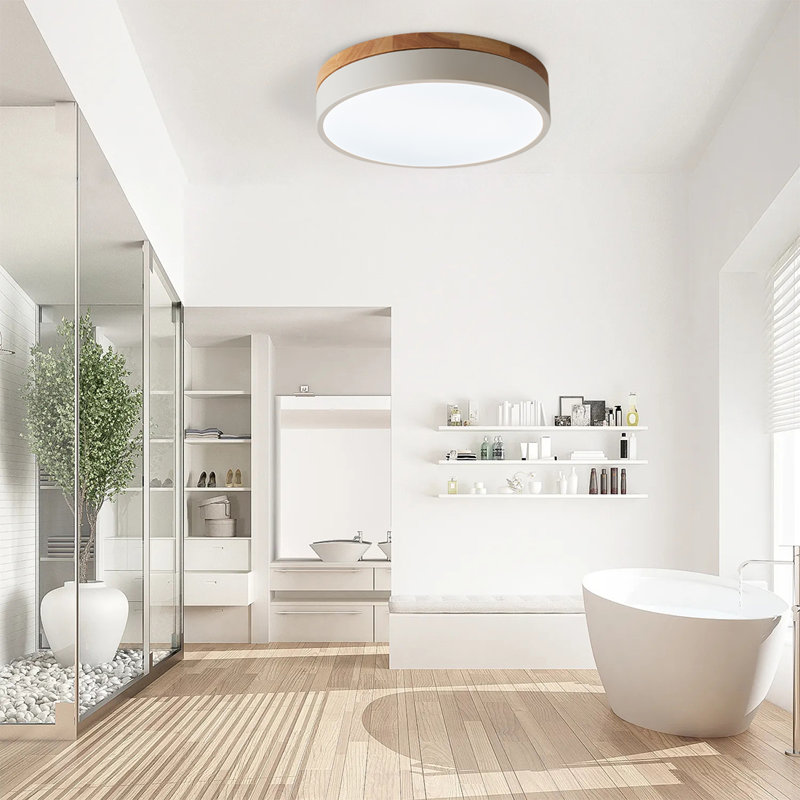 Circle Modern Led Flush Mount Ceiling Light, 6500 Kelvins, Silver