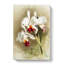Magnolia Flowers Illustration Tab. 28 by Frederick Sander - Wrapped Canvas-55307753