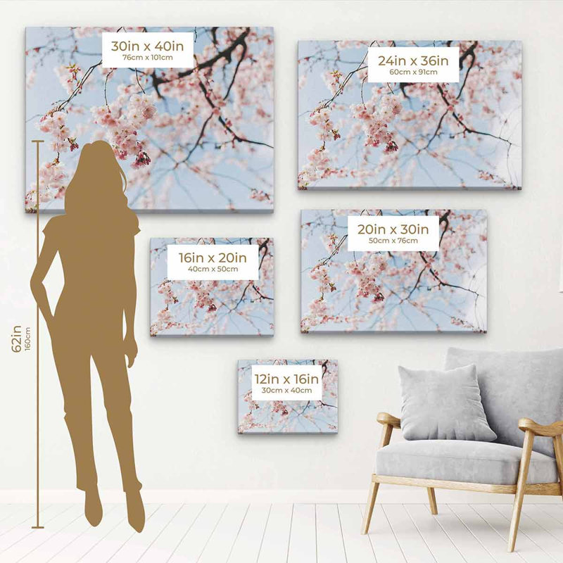 «Brynna Pink Cherry Blossom», art mural sur toile 2818, H 12 po x l 16 po, Cadre flottant noir