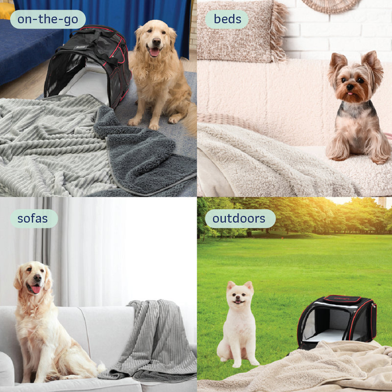 Coussins Katziela, Brun clair, 80 po x 60 po