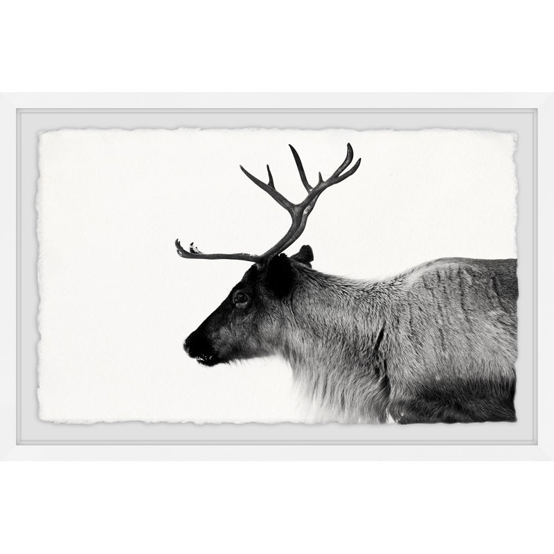 Antler Profile - Single Picture Frame Print, 20cm H x 30cm W x 4cm D