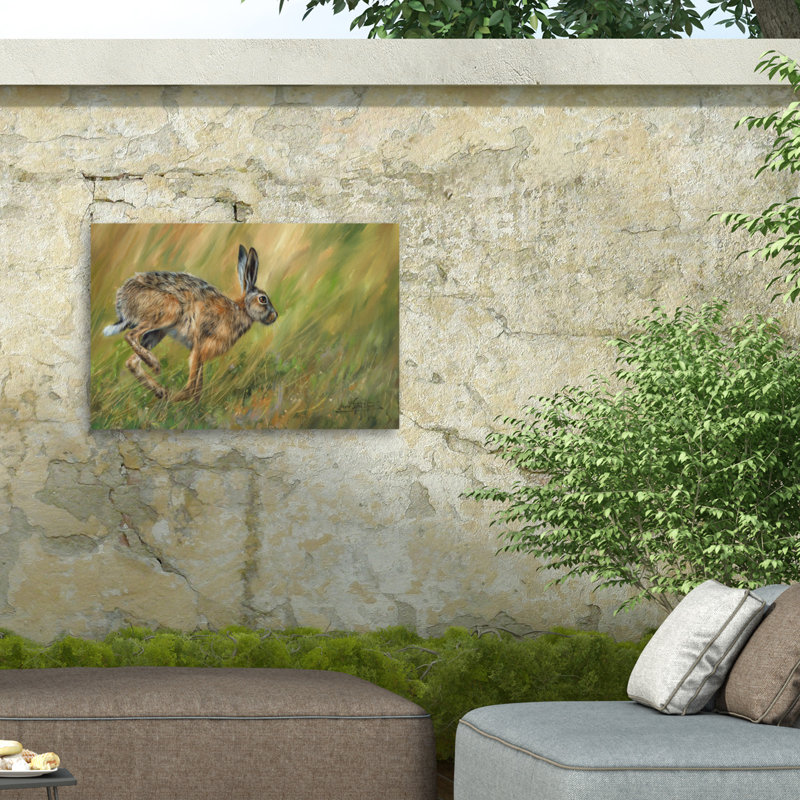 Toile extérieure David Stribble Hare, H 12 po x l 19 po