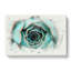 Pink Tipped Succulent Plant In Abstract - Wrapped Canvas-55338945