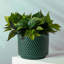 Ahart Handmade Ceramic Pot Planter-1663702340