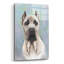 «Cane Corso 2» par Barbara Keith, impression sans cadre-367362543