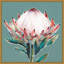 Reproduction d’art sur toile, "floraison rose King Protea" par Isabelle Z-Floater frame