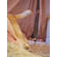 Couvertures pour chiens