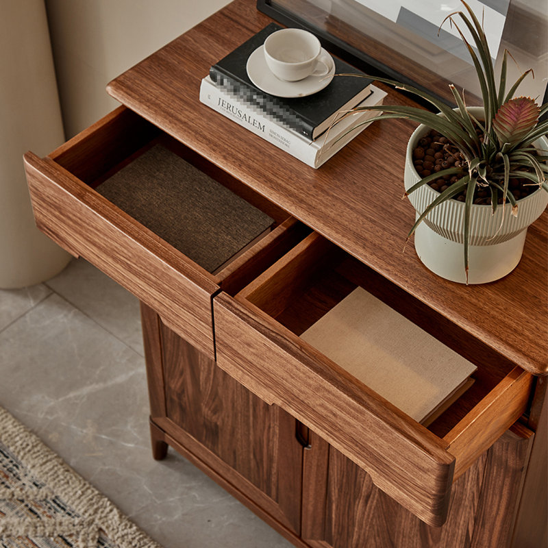 Modern simple storage shoe cabinet