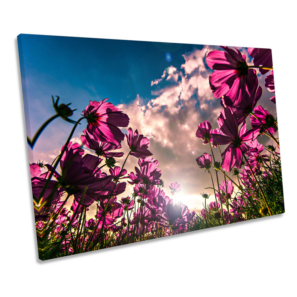 Ebern Designs Pink Cosmos Flowers Floral Sunset CANVAS WALL ART Print ...