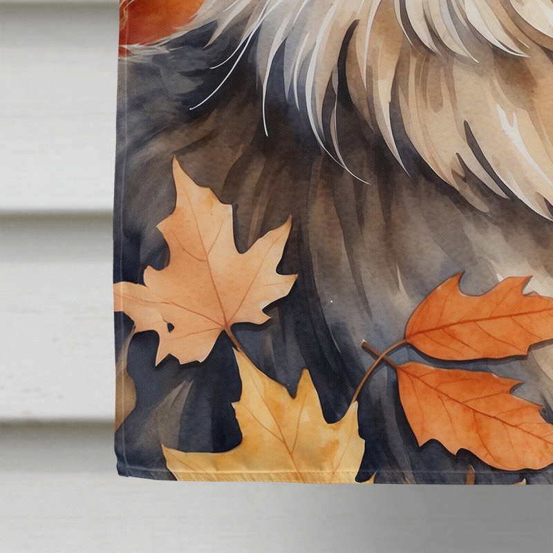 Chat en feuilles d'automne, MaineCoon