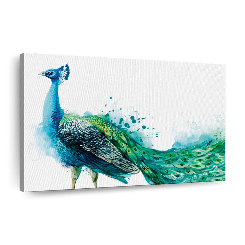 " Proud Peacock Splash " by Artsy Sally, 8" H x 12" W x 1" D