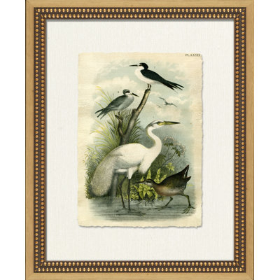Crackled Marsh Birds I - Peinture sur papier avec cadre photo