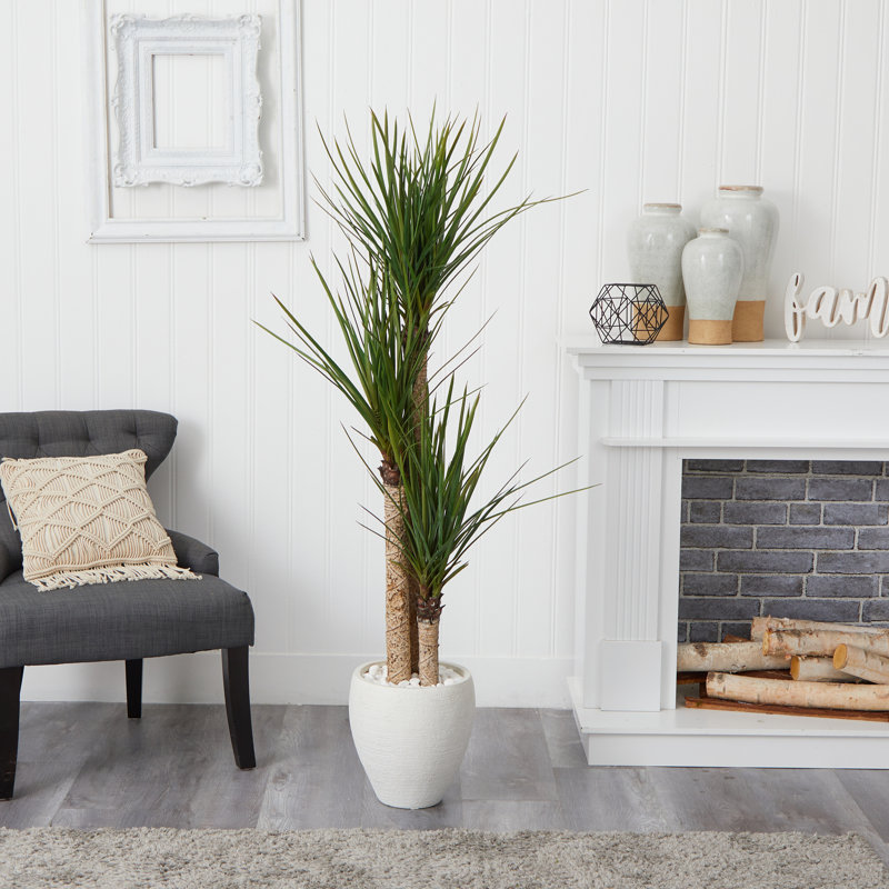 66'' Faux Yucca Tree in Earthenware Pot