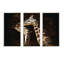 Portrait of Two Giraffes Kissing I - 3 pièces, reproduction sur toile-2084744853-2084744855