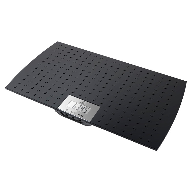 Redmon Digital Physician Scale