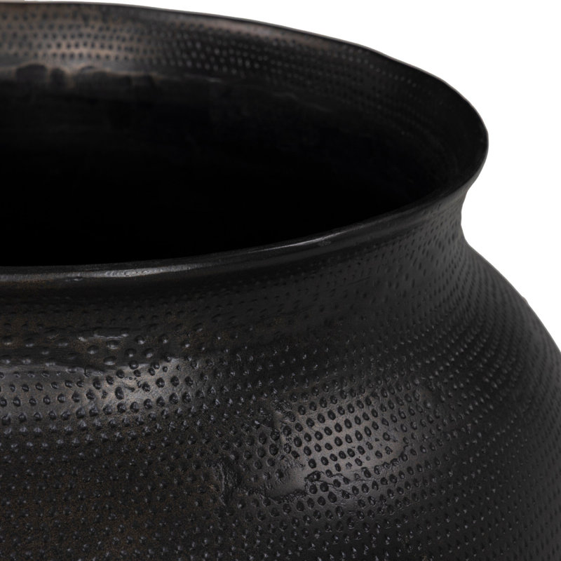 Kavya Planter, Media