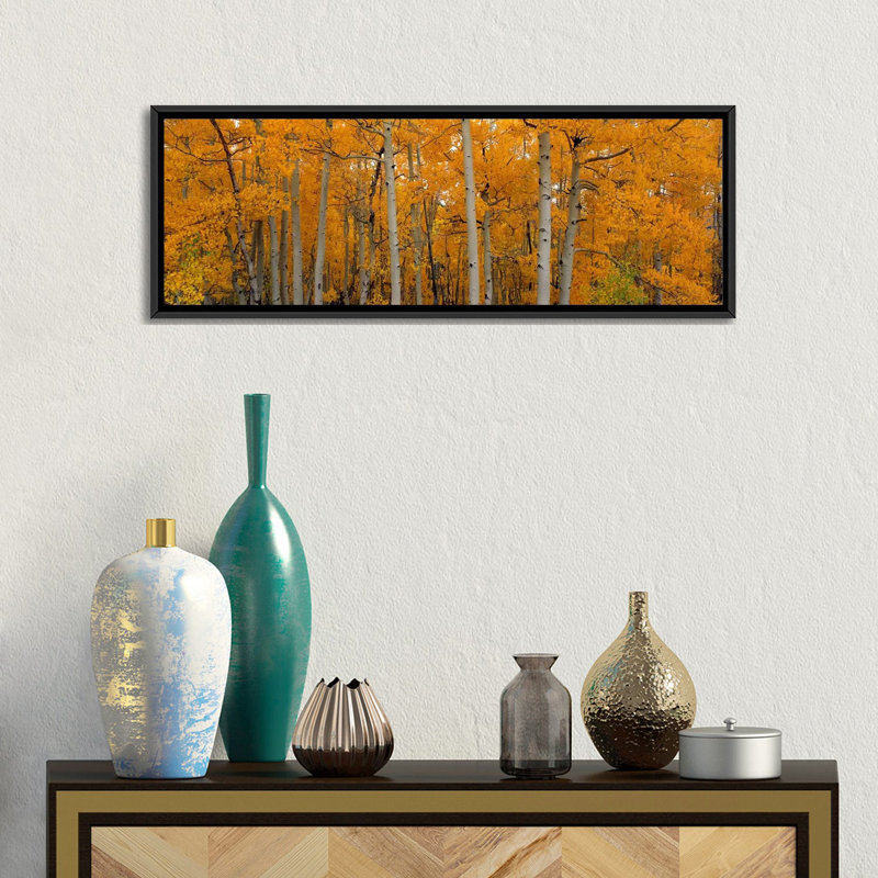 «Quake Aspens Dixie National Forest, Utah», reproduction de photo sur toile, H 12 po x l 36 po x P 1,5 po, Cadre noir