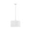 4-Light Glass Drum Shade Chandelier