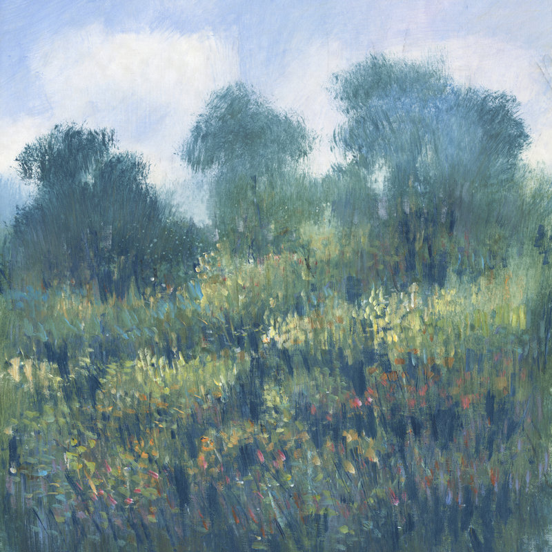 Meadow Wildflowers II, H 20 po x l 20 po