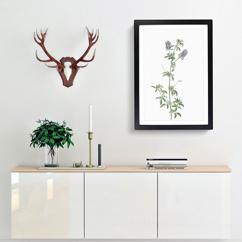 Spanish Clover Flowers by Pierre-Joseph Redoute - Picture Frame Painting Print, 36cm H x 27cm W x 2cm D, Black Framed