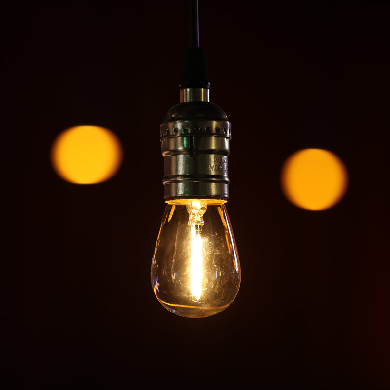 Ampoule DEL S14, verre transparent, ampoule à filament DEL non dimmable, blanc chaud 2700K, 0,7 W, guirlande lumineuse, culot E26
