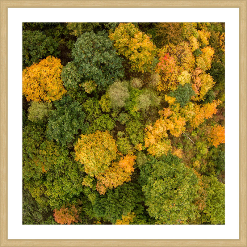 Karolis Janulis - Single Picture Frame Print, 41 cm H x 41 cm W x 3.81 cm D
