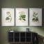 Antique Turpin Botanical I - reproduction sur mesure encadrée de qualité supérieure - 3 pièces-1401767997-1401767996