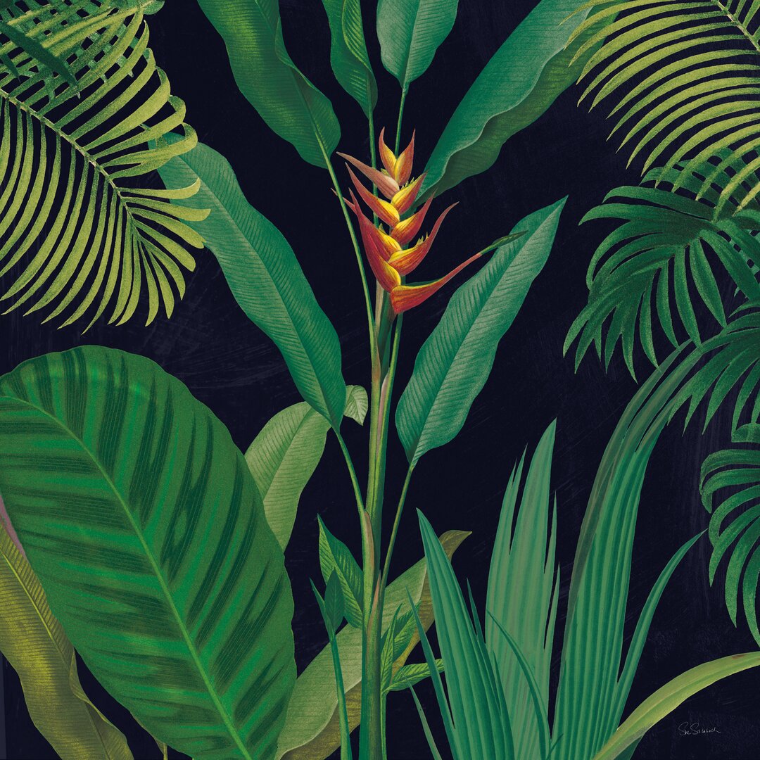 Leinwandbild Dramatic Tropical II von Sue Schlabach