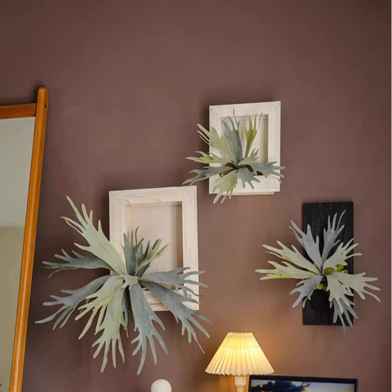 Artificial Antler Fern with Wooden Frame, 14.17" H x 12.9" W x 7.8" D