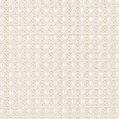 Ribbon Fabric
