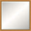 Dubois Solid Wood Beveled Mirror-1659590096-1659590097