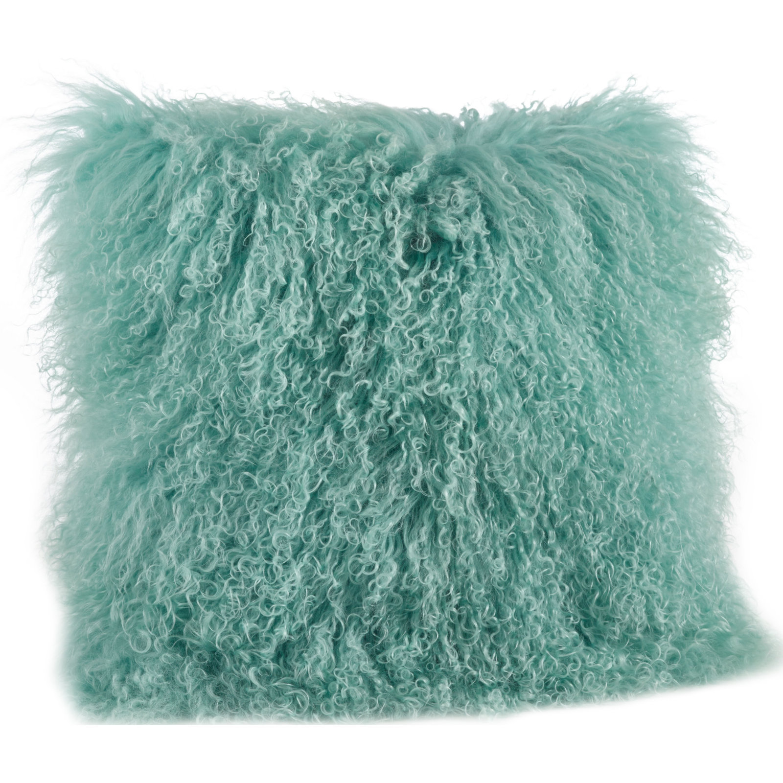 Iyana Wool Throw Pillow, Mint, Square 16"