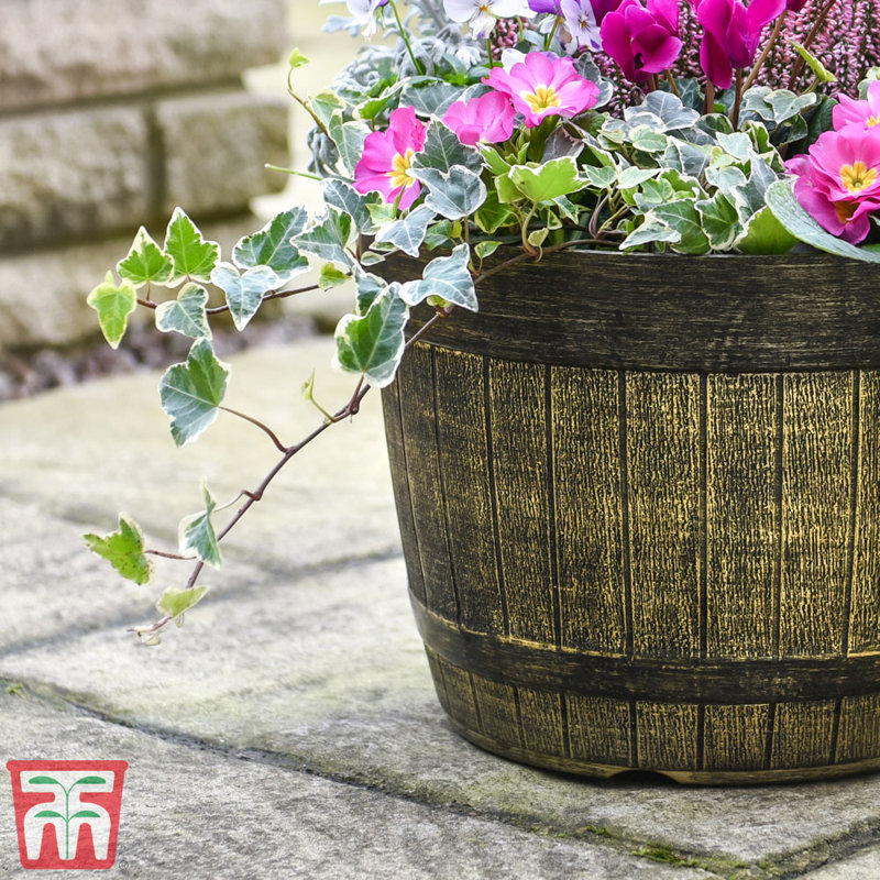 Wentzville Plant Pot Whiskey Barrel (x5)