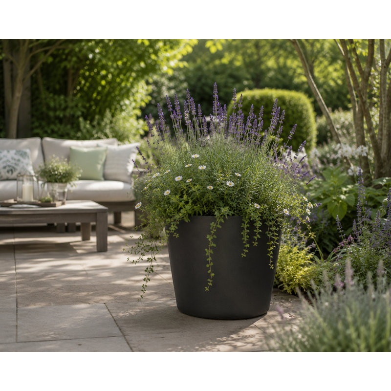 Robin Round Bucket Planter, Contemporary Concrete Effect, Round Indoor and Outdoor Plant Pot with Drainage Hole, Black