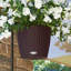 Hanging Planter-16493106-66329965
