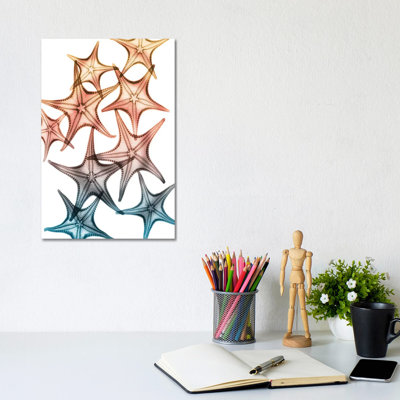 Jolly Starfish II by Albert Koetsier - Print on Canvas
