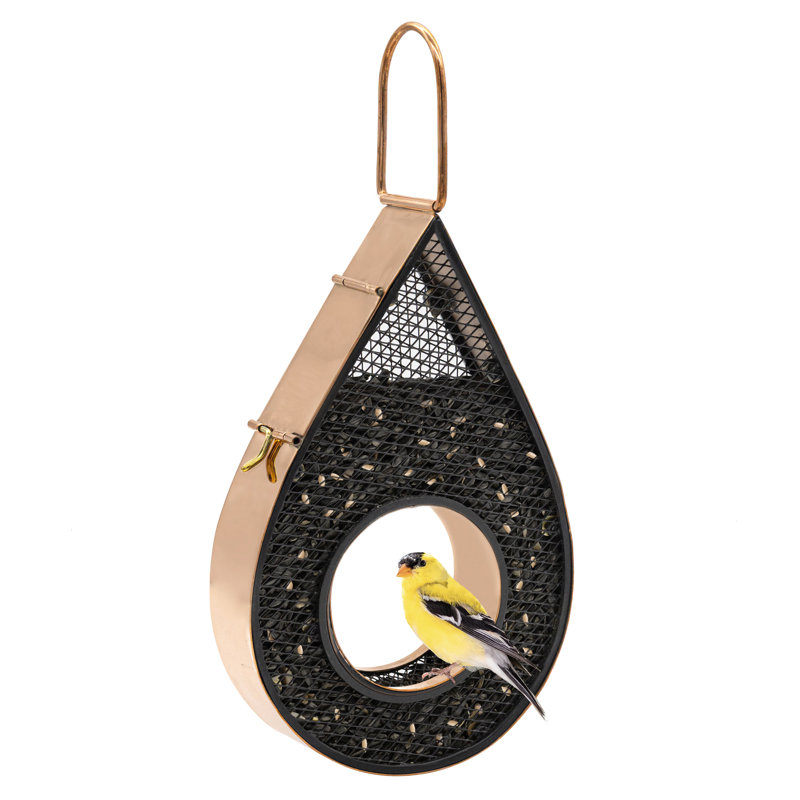 Mangeoire d'oiseaux en cuivre Rain Drop Fly-Thru
