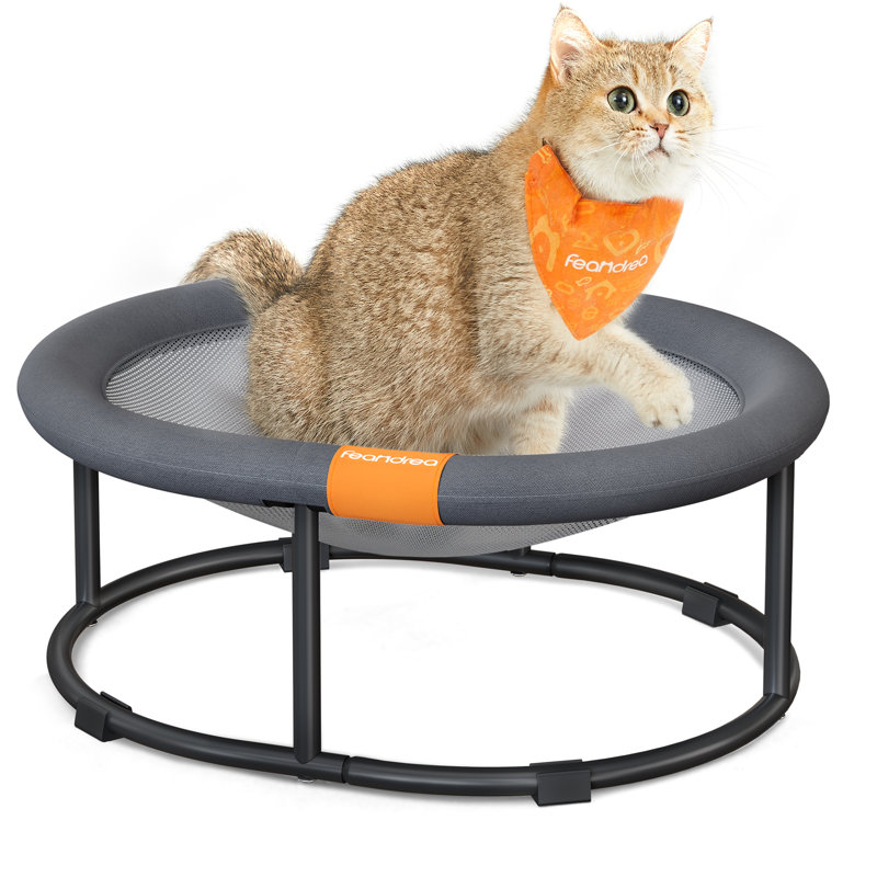 Elevated Pet Bed, 20cm H x 52cm W x 42cm D