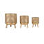 Decorative Planters Set of 3, Gold Metal Plant Pots with Legs