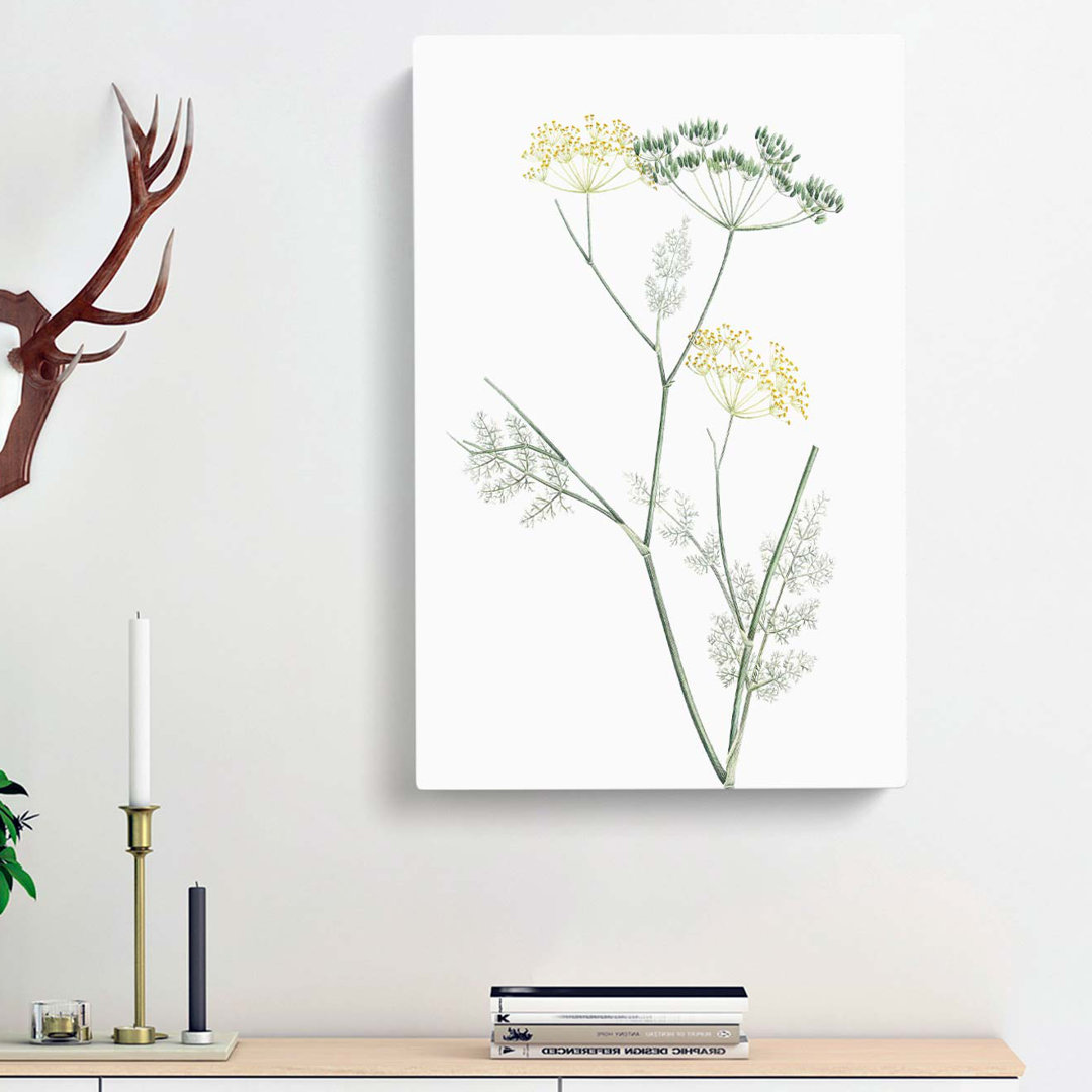 Blooming Fennel Flowers by Pierre-Joseph Redoute - Wrapped Canvas