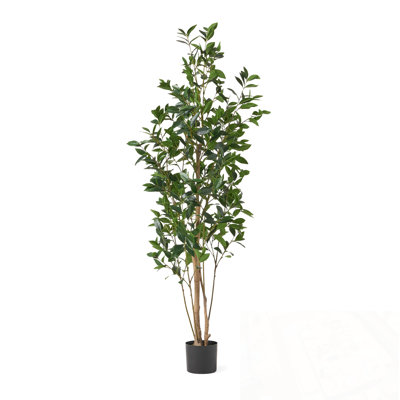 180CM ARTIFICIAL LAUREL TREE