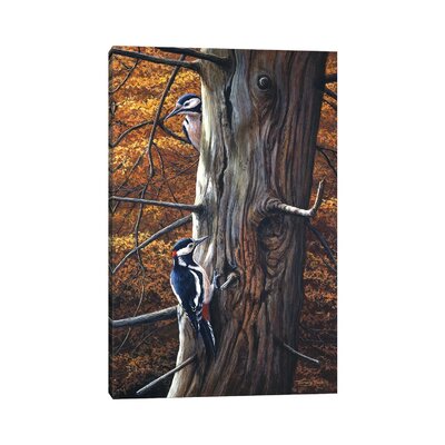 Great Spotted Woodpeckers by Jeremy Paul - Gallery-Wrapped Canvas GiclÃ©e -  East Urban Home, 50D13895198648759B17F575AF166C69