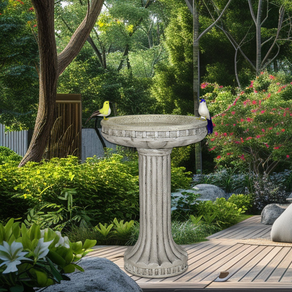 Dachelle Concrete / Cement Birdbath Alcott Hill®