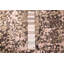 Legacy Rug 2'5" x 10'2"