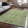 Premium Machine Washable Cerrito Aloe Rug