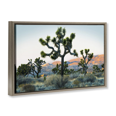 "Joshua Trees in Vast Desert", art mural sur toile flottante, design par Danita Delimont