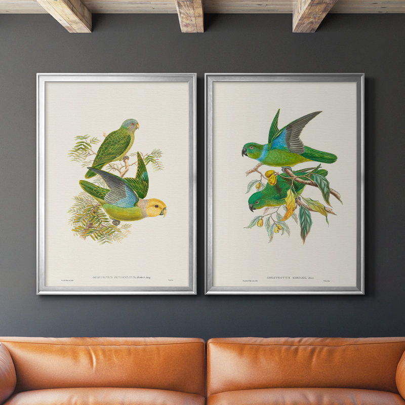 «Lime & Cerulean Parrots I», ensemble de 2 reproductions encadrées sur toile, Cadre argenté, H 30,5 po x l 45 po x P 2,5 po