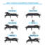 Lit réglable Harlequin Massage Zero Gravity avec télécommande sans fil-2024009816