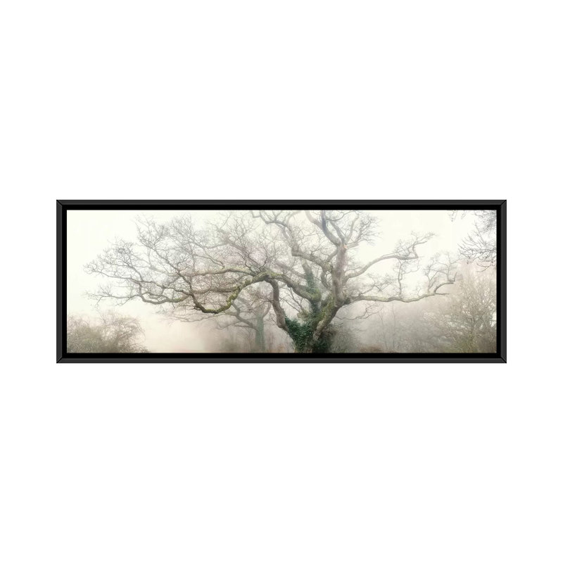 « Ghost Oak » par Philippe Manguin-reproduction de photo panoramique sur toile, Toile avec cadre noir