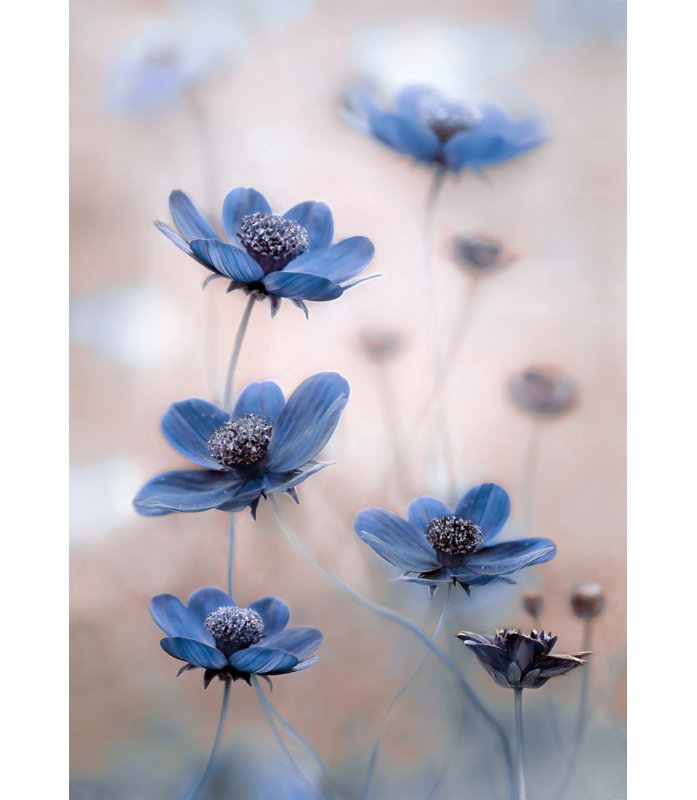 Wrapped Canvas Print, 121.92 cm H x 81.28 cm W